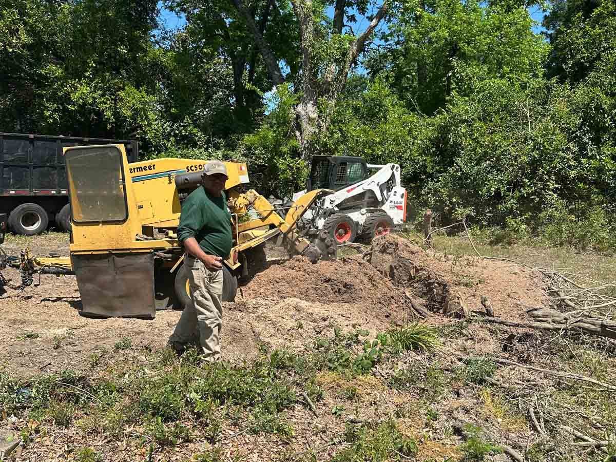 El Costeño Tree Service LLC